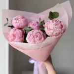Пионы