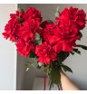 Монобукет из роз &laquo;Пламя&raquo; 