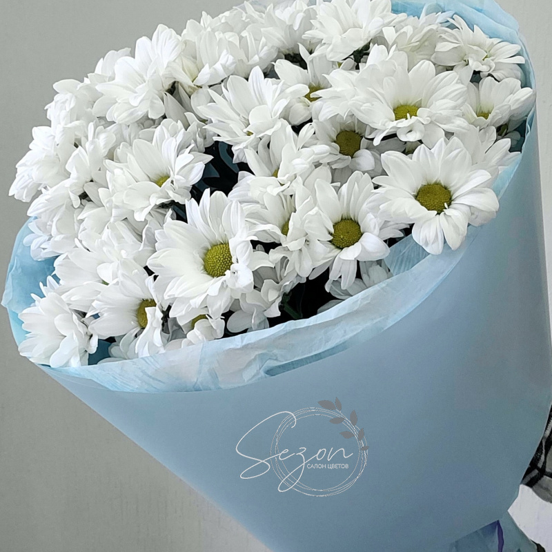 Монобукет с хризантемой &laquo;Тёплая дружба&raquo;